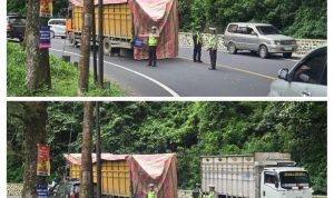 IMG_20251224_195534-COLLAGE