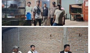 IMG_20260521_183050-COLLAGE