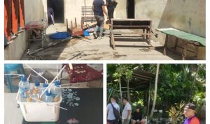 IMG_20260524_173917-COLLAGE