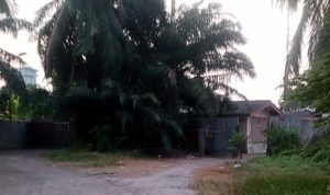 IMG-20260710-WA0001